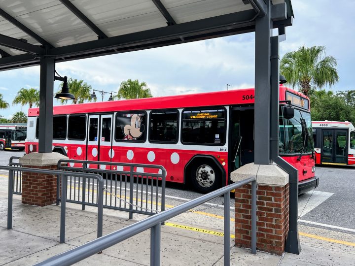 Disney World Transportation