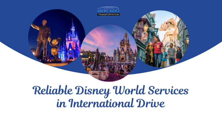 Disney World Services