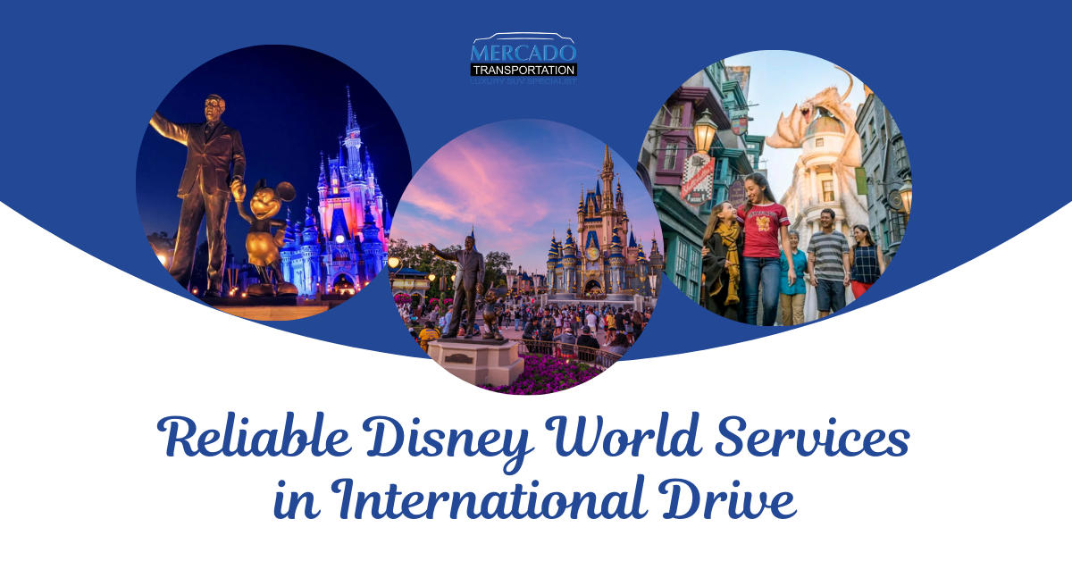 Disney World Services