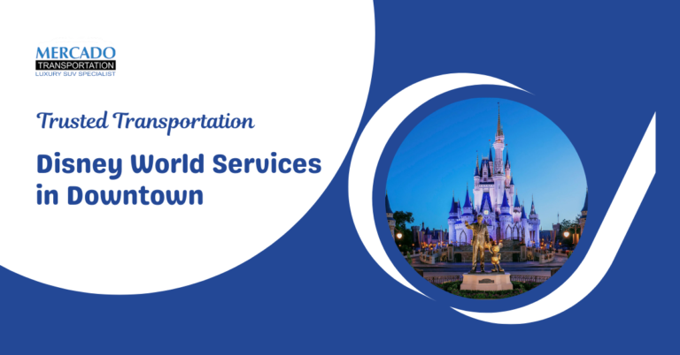 Disney World Services