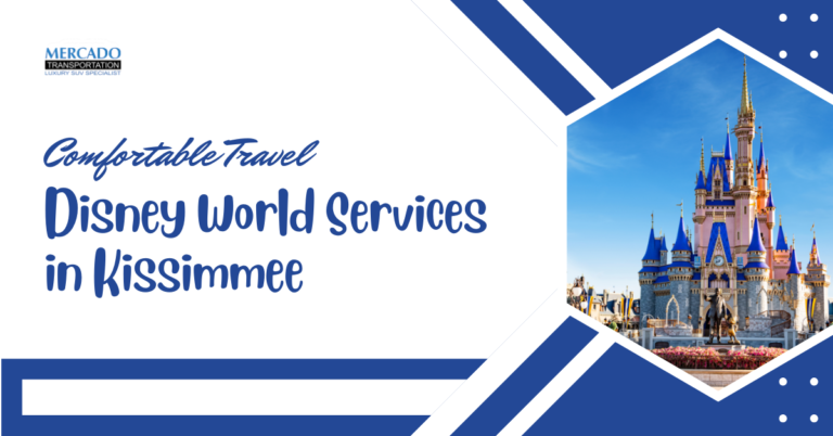 Disney World Services