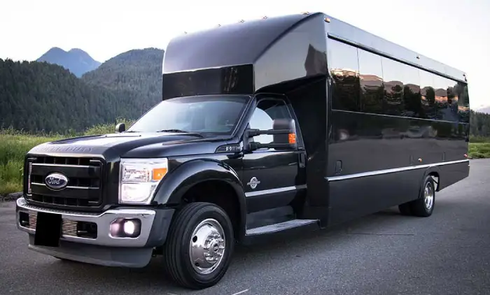 Mini Buses For Universal Studio Services